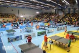 Pasjonaci tenisa z całego Śląska zjechali do Żor na coroczny turniej [GALERIA]