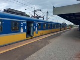 Pomorskie. Wypadek na stacji SKM Stocznia w Gdyni. Mężczyzna wpadł pod pociąg