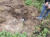 17-latka z kolegą ukradli 15 akumulatorów. Łup zakopali w lesie (zdjęcia)