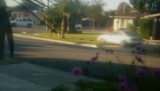 Kalifornia, USA. Atak histerii rozładowuje na sąsiadach (wideo)