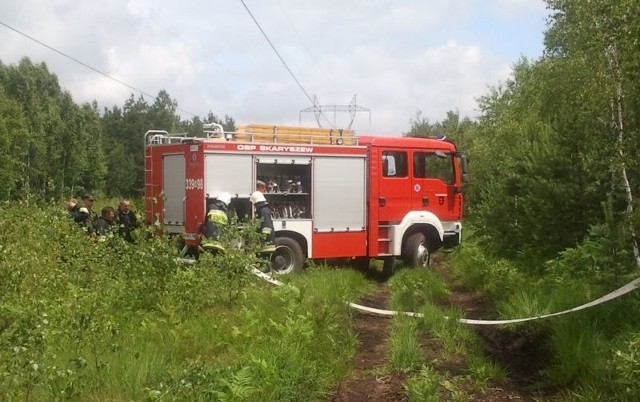 Strażacy mieli za zadanie między innymi wypracować koncepcję wspólnych działań w lasach położonych na trudnym terenie.