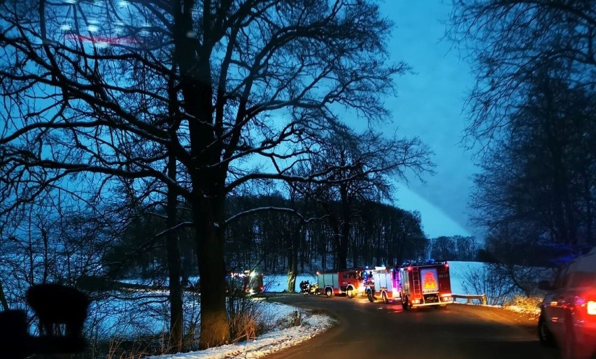 Wypadek między Kwilczem a Kurnatowicami. Auto uderzyło w drzewo. Dwie osoby poszkodowane [ZDJĘCIA]