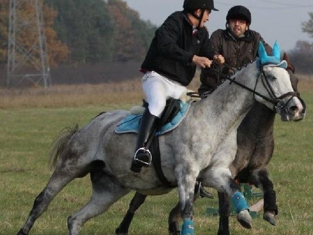 Lisią kitę (trzyma jeździec na koniu z niebieskimi ozdobami) złapał jeździec i fotograf koni Mateusz Staszałek.