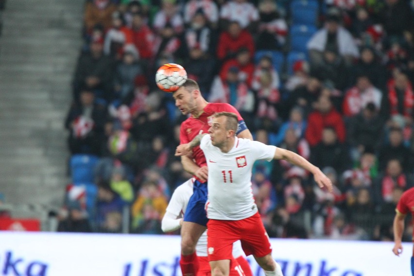 Mecz Polska - Serbia w Poznaniu [ZDJĘCIA, WYNIK, RELACJA NA...