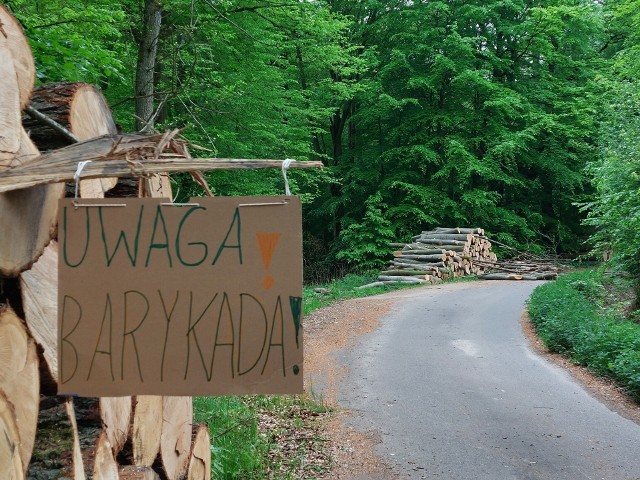 Protestu w obronie Puszczy Bukowej odbywa się przy Drodze Bieszczadzkiej, obok rezerwatu Buczynowe Wąwozy