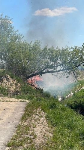 Pożar nieużytków w okolicach ulicy Olsztyńskiej w Radomiu. Kłęby dymu nad miastem. Straż pożarna miała utrudniony dojazd