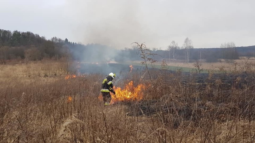 Gmina Sułkowice. Apele nic nie dają, znów płoną trawy