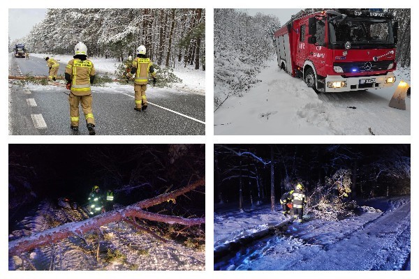 100 wyjazdów związanych ze skutkami śnieżyc odnotowali świętokrzyscy strażacy od północy w poniedziałek do godziny 8 we wtorek. 86 z tych interwencji dotyczyło drzew i konarów powalonych na drogę pod ciężarem mokrego śniegu. Aż 30 z nich wydarzyło się w powiecie staszowskim.Gdzie jeszcze potrzebna była interwencja strażaków? Sprawdź na kolejnych slajdach>>>