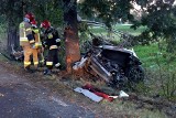 Wypadek we Wrocławiu. Luksusowe porsche roztrzaskało się na drzewie, dwie osoby nie żyją