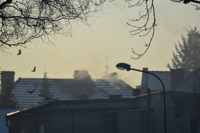 Smog na wiosnę? Skąd się bierze skoro temperatury wysoko na plusie?