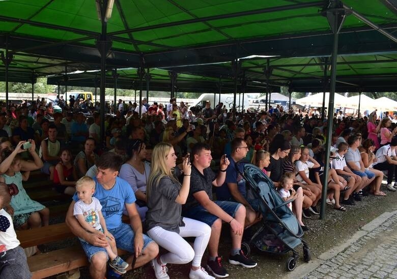 Setki ludzi na pikniku Ku Pamięci Kubusia w Sanoku. Zebrane pieniądze przeznaczą na leczenie Bartusia Przychodzkiego z Sandomierza [ZDJĘCIA]