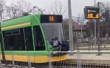 Skrajnie niebezpieczna zabawa nastolatków z Poznania. Jeżdżą na zderzaku tramwaju. "To igranie ze śmiercią!"