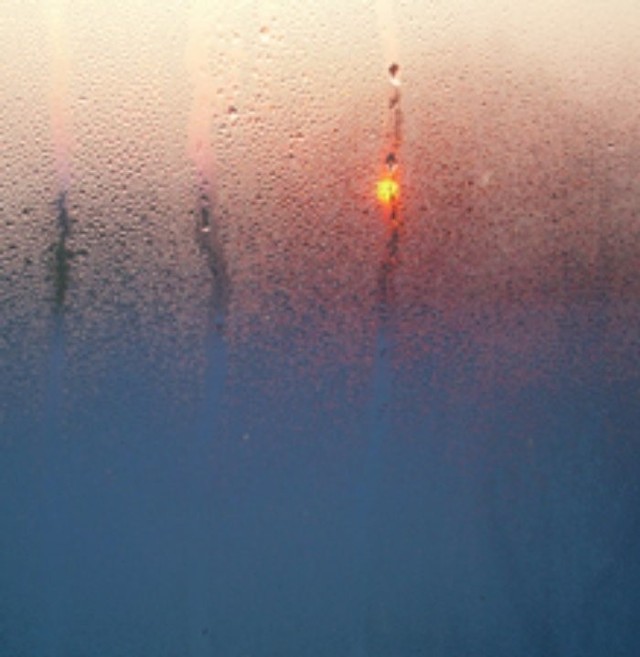 Deszczowe koloryZdjecia autorstwa pani Agaty Blonskiej.