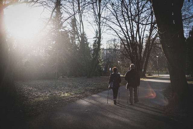 Pierwsze oznaki wiosny w Parku Śląskiego