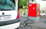 Ceny benzyny i oleju napędowego wyhamowały, autogaz ostro w górę