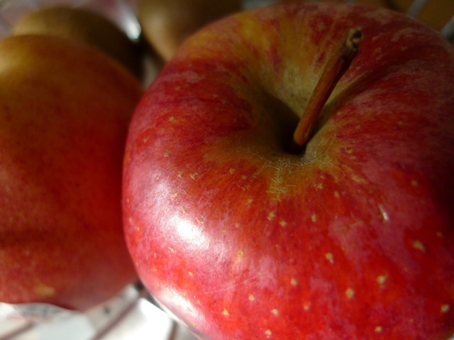 Jabłka mogą być wykorzystywane do produkcji cydru 5% alkoholu tańszego od wina