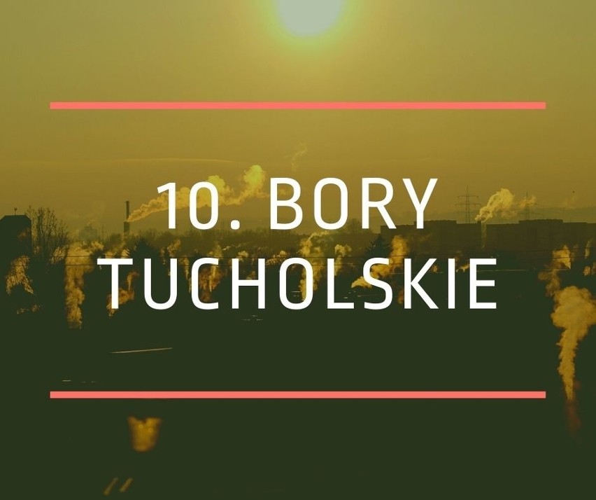 10. Bory Tucholskie...