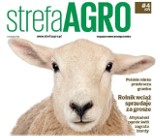 Nowy numer „Strefy AGRO” już 17 listopada