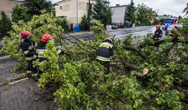 Dwóch strażaków rannych podczas akcji usuwania skutków burz w kujawsko - pomorskim. Jeden ze Świecia, drugi z Brodnicy.