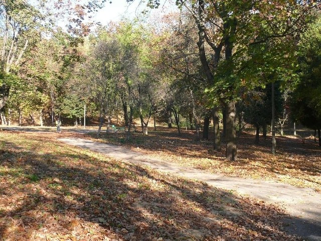 Cały teren parku został skoszony, przeprowadzona została także m.in. wycinka drzew. Zostaną zamontowane ławki oraz kosze na śmieci.