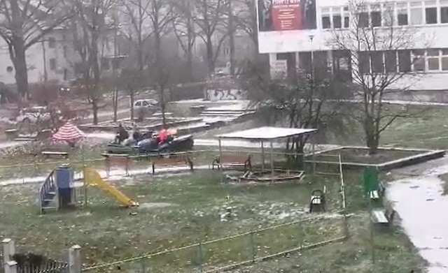 We Wrocławiu wzięli się za koszenie trawy. Trawy ze śniegiem [ZOBACZ] |  Gazeta Wrocławska
