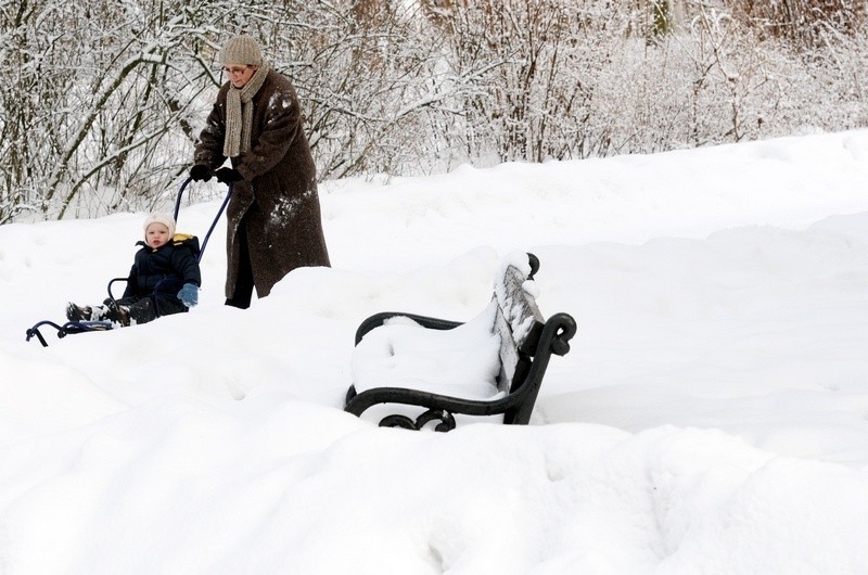 Różne oblicza zimy w Toruniu