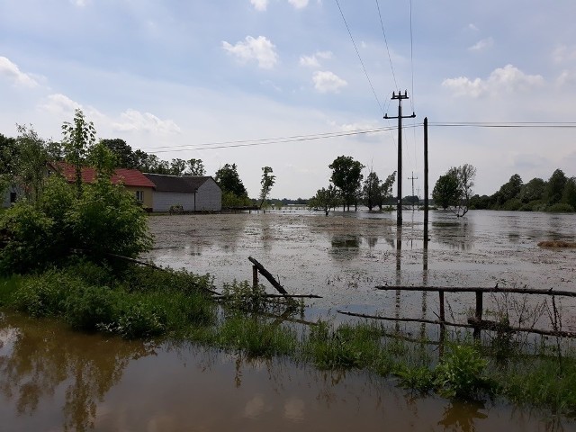 Woda z Wisły podtopiła także część terenu Lucimi w gminie Przyłęk koło Zwolenia.