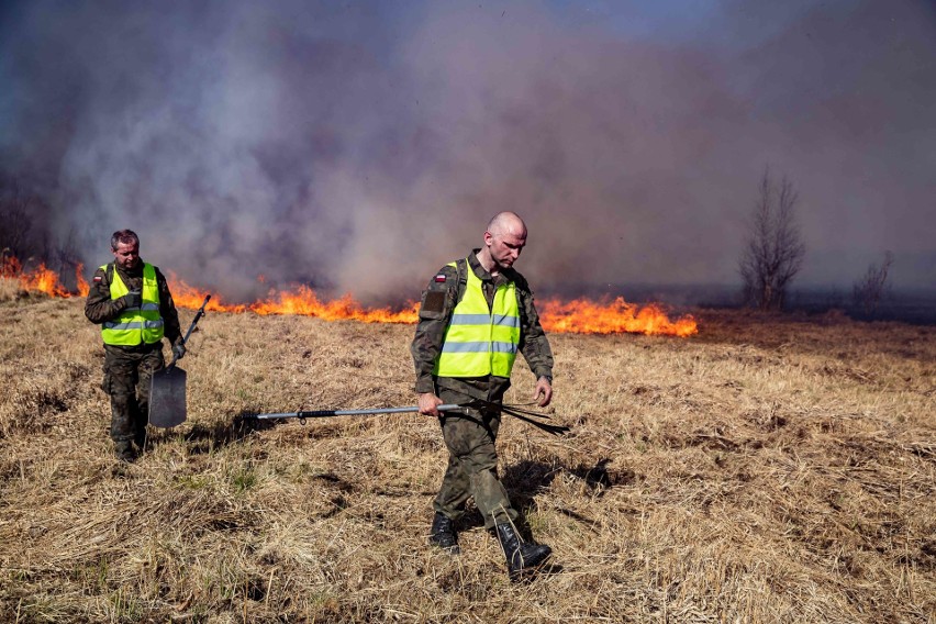 Minął rok od pożaru w Biebrzańskim Parku Narodowym. Jego pracownicy opowiadają o walce z żywiołem (zdjęcia, wideo)