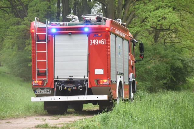 Takie interwencje są rzadkością.