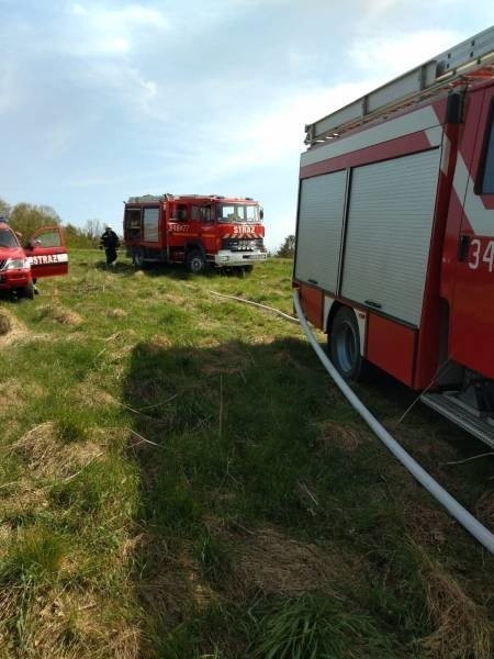 Nowy Sącz. Pożar lasu przy ul. Jamnickiej. Spłonęło 1,5 ha lasu