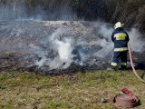 Rolnicy, którzy wypalają trawy, stracą dopłaty! ARiMR ostrzega przed konsekwencjami