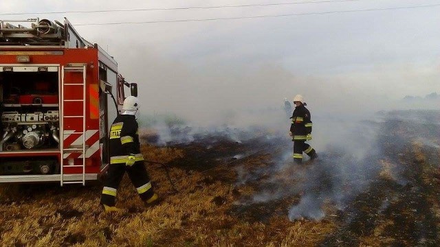 Strażacy gasili pożar rżyska