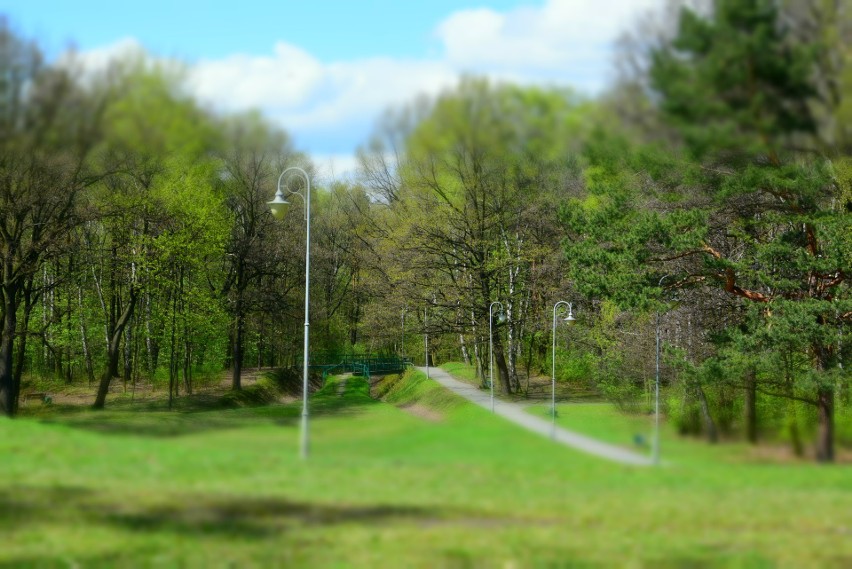 Park Kościuszki w Katowicach