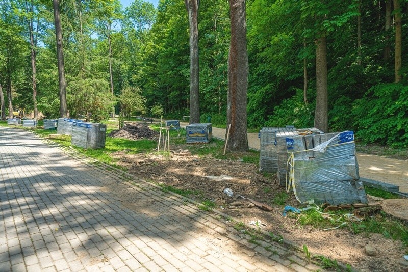 Krynica-Zdrój. W Parku Słotwińskim powstaje tężnia solankowa. Zobacz postęp prac [ZDJĘCIA]