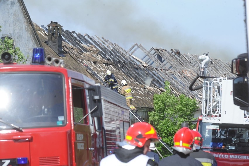 Leszno: Pożar świniarni w Kłodzie. Na miejscu pracuje dziewięć jednostek