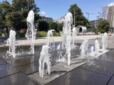 W Katowicach jest ponad 20 fontann, przy których można odpocząć w upalne dni. Spora część mieści się w śródmieściu, w tym trzy na Rynku