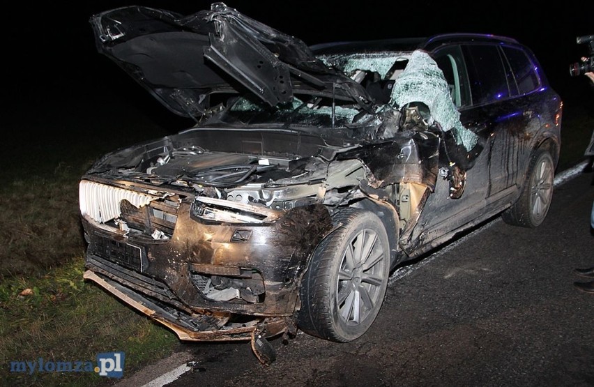 Górki-Sypniewo. Wypadek z łosiem. Jedna osoba trafiła do...