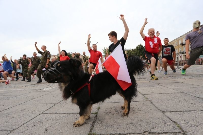 Pies Kajtuś towarzyszący biegaczowi został wyposażony w...