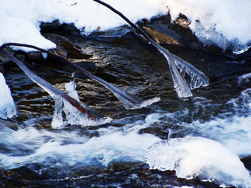 Zima w górach, w Beskidach [ZDJĘCIA]