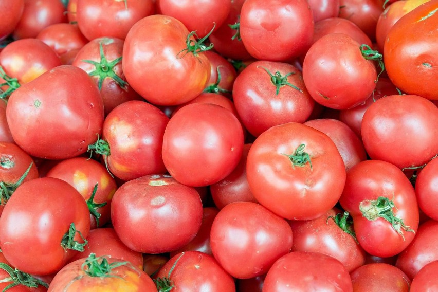 Zagraniczne pomidory są zrywane jeszcze jako niedojrzałe....