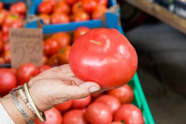 Wiele osób zastanawia się, jak odróżnić krajowe pomidory od zagranicznych. Odmian pomidorów jest wiele, każda smakuje i wygląda nieco inaczej. Jak odróżnić pomidory krajowe od importowanych? Nie jest to proste, ale istnieje kilka sposobów, by odróżnić polskie pomidory od zagranicznych. Poznaj je teraz w naszej galerii >>>>>