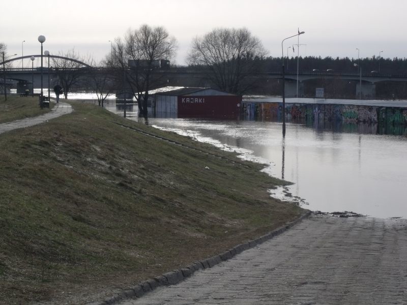 Narew 10.02.2011