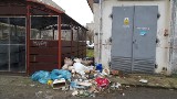 Kto podrzuca śmieci na ulicy Leśnej oraz Alejach Lipowych w Pionkach? Mieszkańcy apelują o pomoc do burmistrza