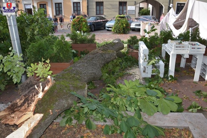 Konar drzewa spadł na teren letniej czytelni w Zamościu. Stan zdrowia rannych