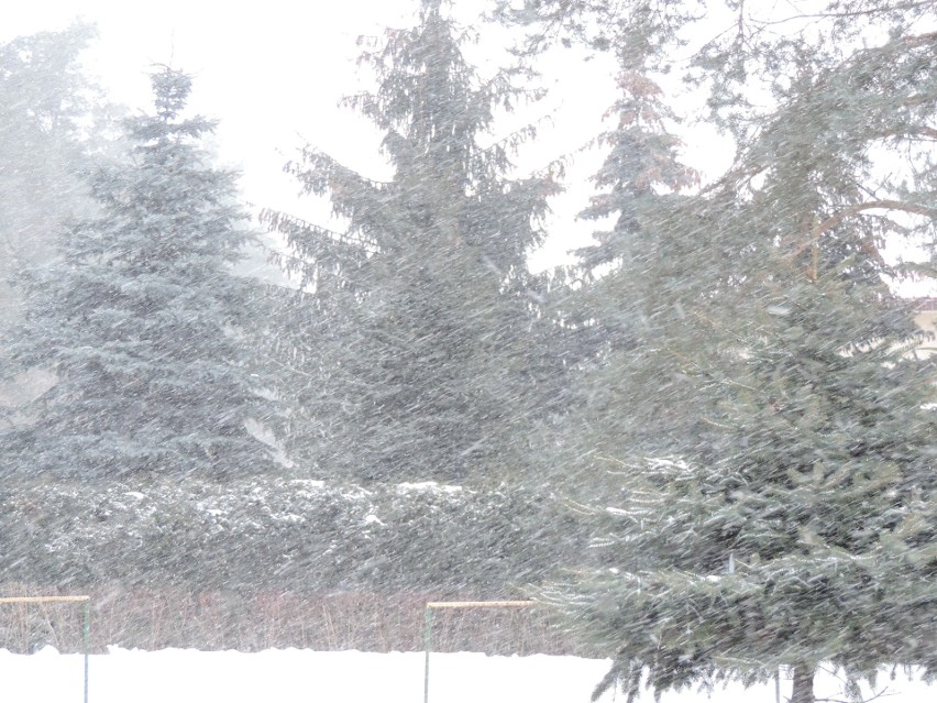Zima 2021 w Małkini Górnej. Od 8.02.2021 sypie śnieg. Zdjęcia