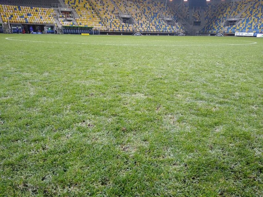 Tak prezentuje się murawa Stadionu Miejskiego w Gdyni.
