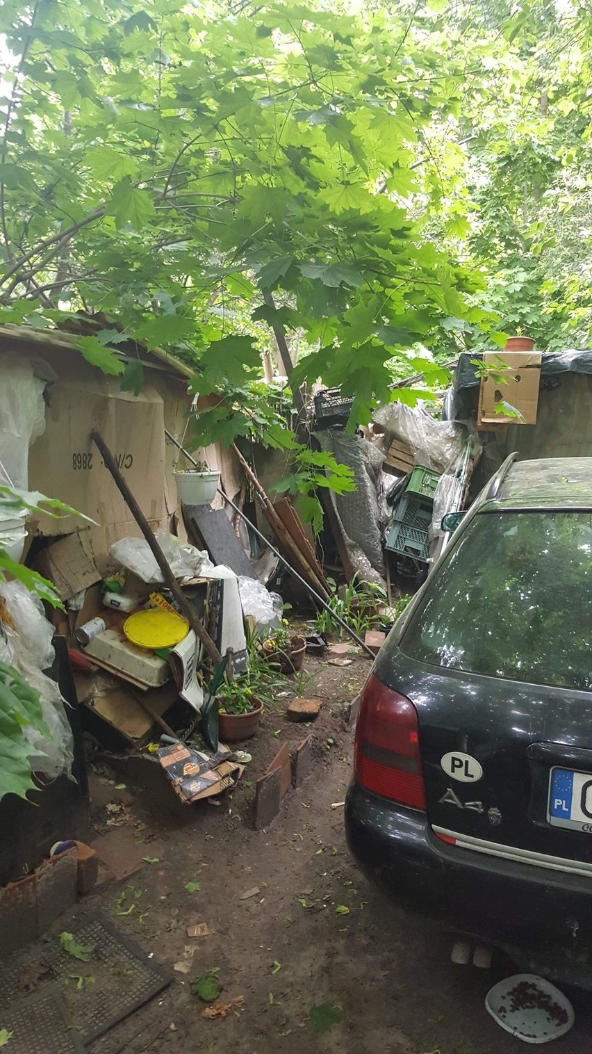 Tony śmieci i ponad 20 chorych kotów na podwórku w Gdańsku...