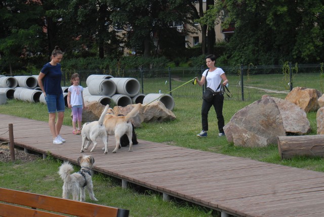 Psi park w Czyżynach to najlepiej wyposażone miejsce dla czworonogów