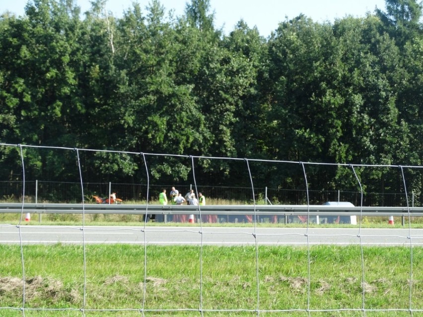 Wypadek na A2. Przewrócił się autokar z dziećmi. Wycieczka z...