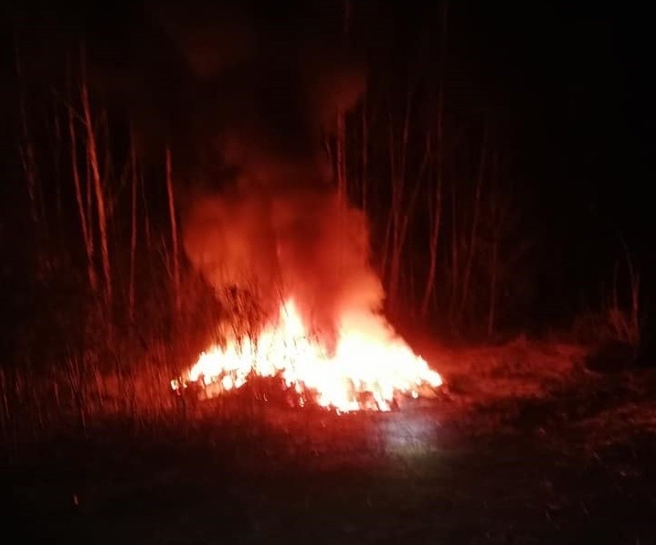 Kilkanaście pożarów jednego dnia w regionie tarnowskim. Strażacy gasili trawy i podpalane opony [ZDJĘCIA]